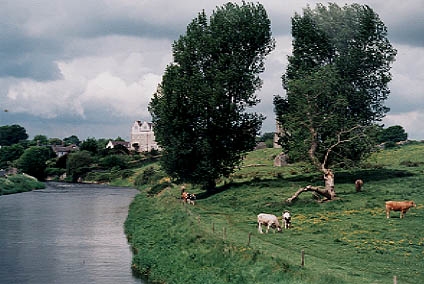 1.jpg (74327 bytes)